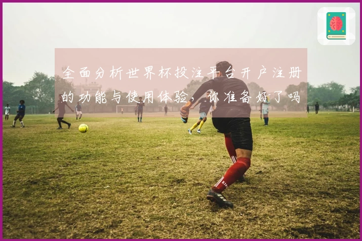 全面分析世界杯投注平台开户注册的功能与使用体验，你准备好了吗？