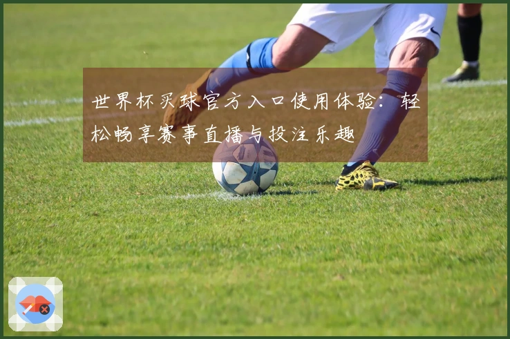 世界杯买球官方入口使用体验：轻松畅享赛事直播与投注乐趣