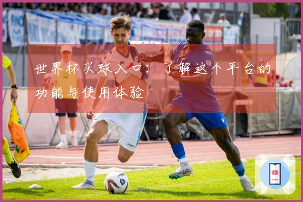 世界杯买球入口：了解这个平台的功能与使用体验