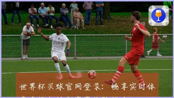 世界杯买球官网登录：畅享实时体育直播与精彩赛事体验指南