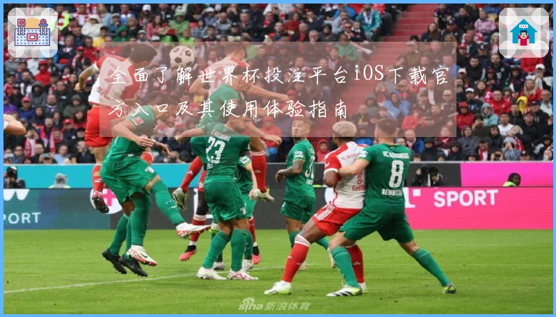 全面了解世界杯投注平台iOS下载官方入口及其使用体验指南