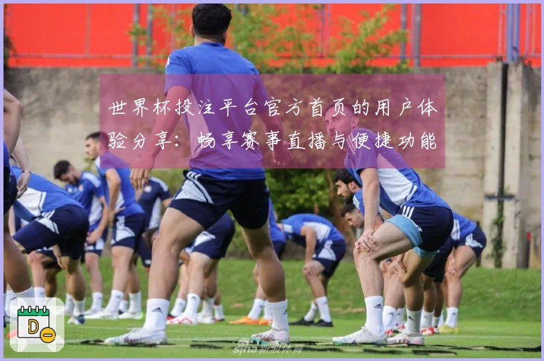 世界杯投注平台官方首页的用户体验分享：畅享赛事直播与便捷功能