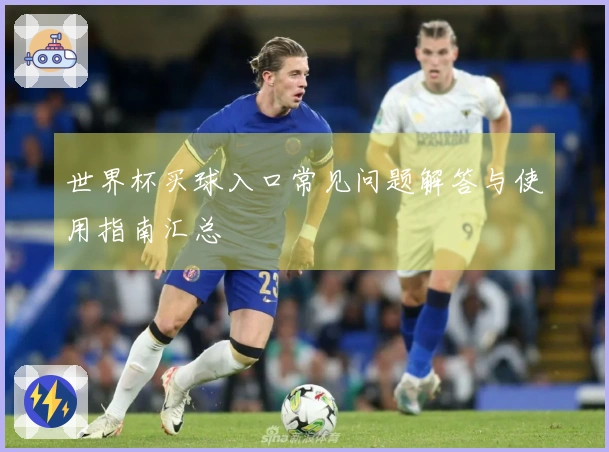 世界杯买球入口常见问题解答与使用指南汇总