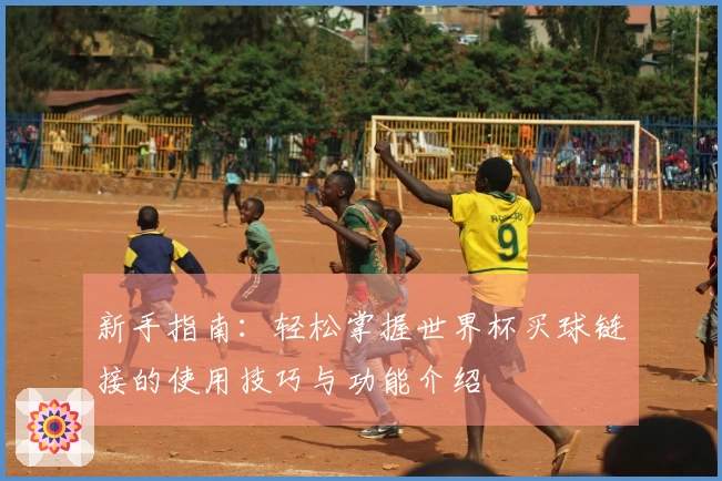 新手指南：轻松掌握世界杯买球链接的使用技巧与功能介绍