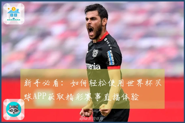 新手必看：如何轻松使用世界杯买球APP获取精彩赛事直播体验