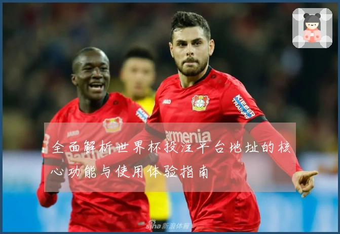 全面解析世界杯投注平台地址的核心功能与使用体验指南