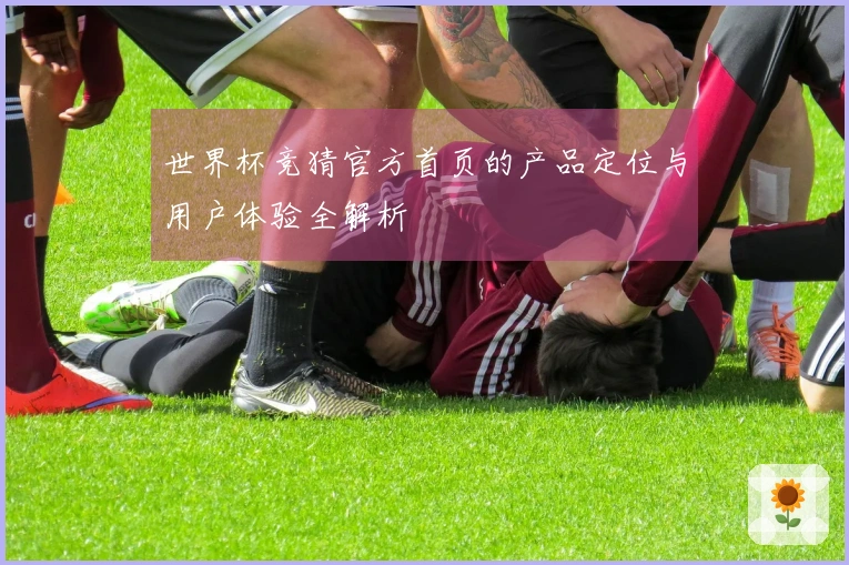 世界杯竞猜官方首页的产品定位与用户体验全解析