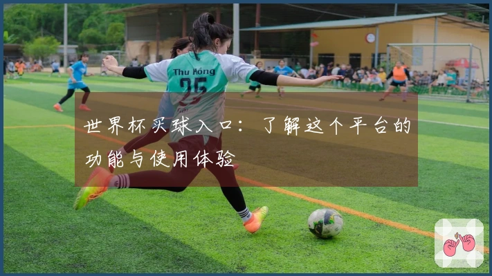 世界杯买球入口：了解这个平台的功能与使用体验